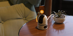 AuraGuard 360 Dual-Vision Smart Camera