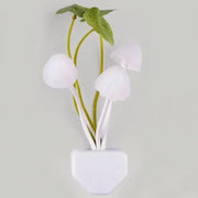MushLite Night Light