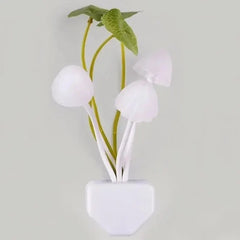 MushLite Night Light