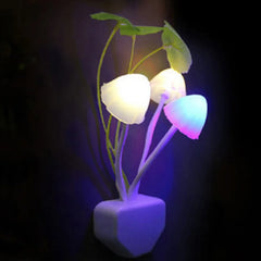 MushLite Night Light
