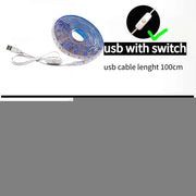 5V USB LED Strip Light with Switch Decoration Waterproof Tape for House Room Backlight 1M 2M 3M 5M Ribbon