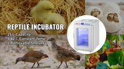 SucceBuy 25L Reptile Incubator Scientific Lab Automatic Incubator Egg Breeding Hatchery Work for Thermostats Snakes and Turtles
